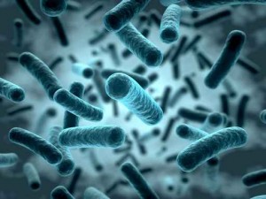 Você Sabia Que Pode Adicionar Bactérias a Sua Fossa Séptica?